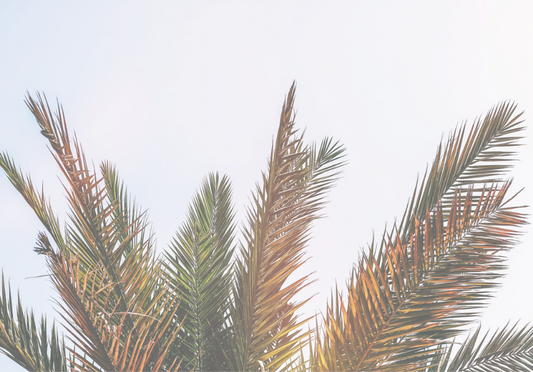 Summer Skin Care Bible, Part II